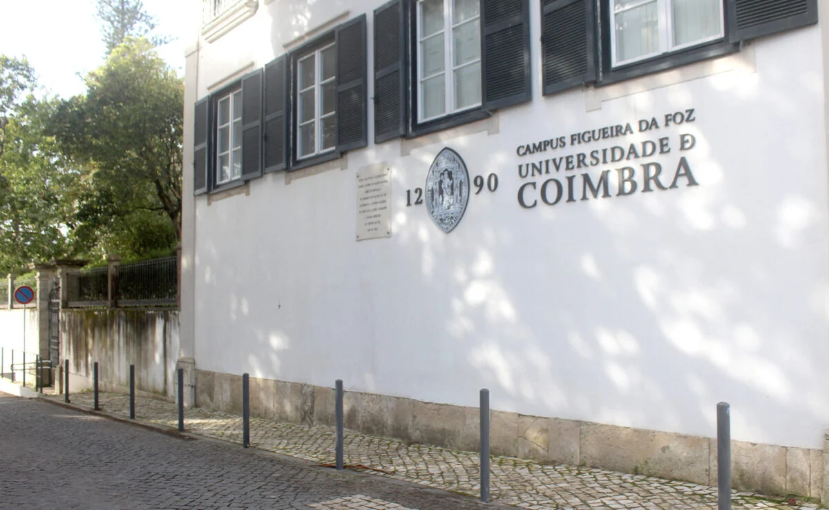 Formação Contra Tráfico De Humanos