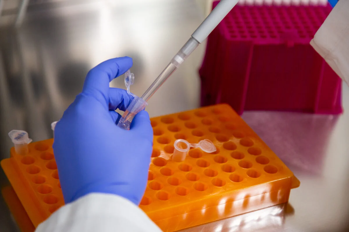 Ipn Fitolab