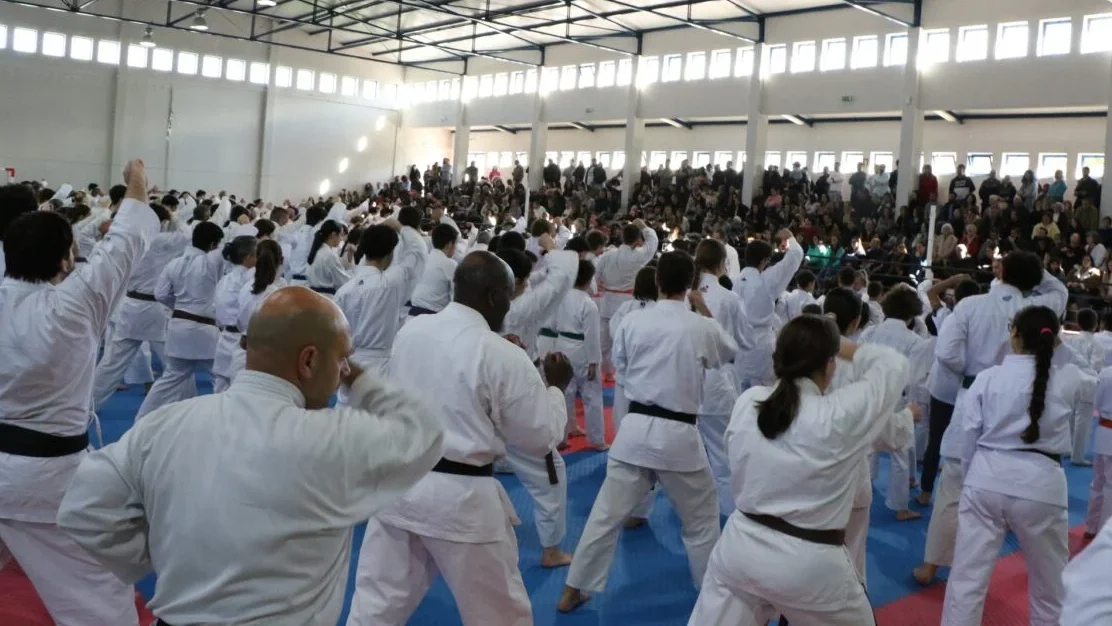 Karate Estágio Mortágua Net