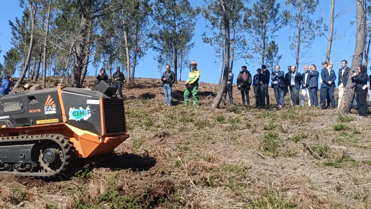 Limpeza Floresta Góis Secretário Estado