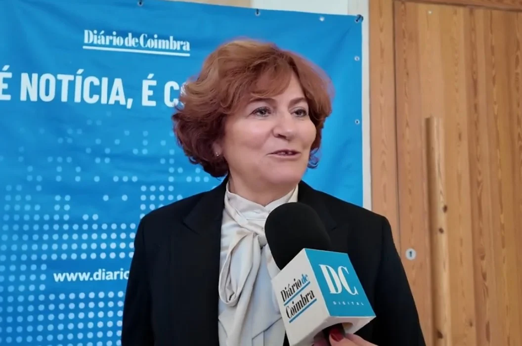 Mech Consultores
