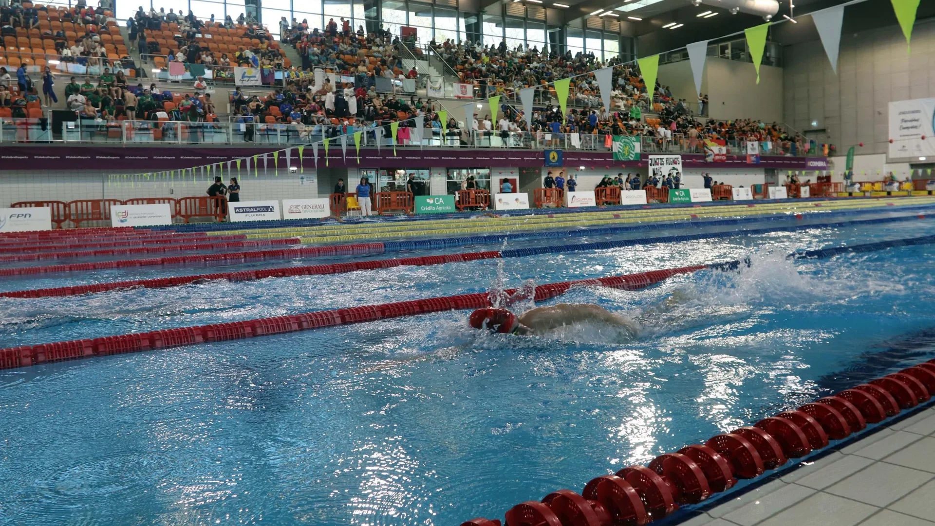 Natação Open De Portugal Fig 1