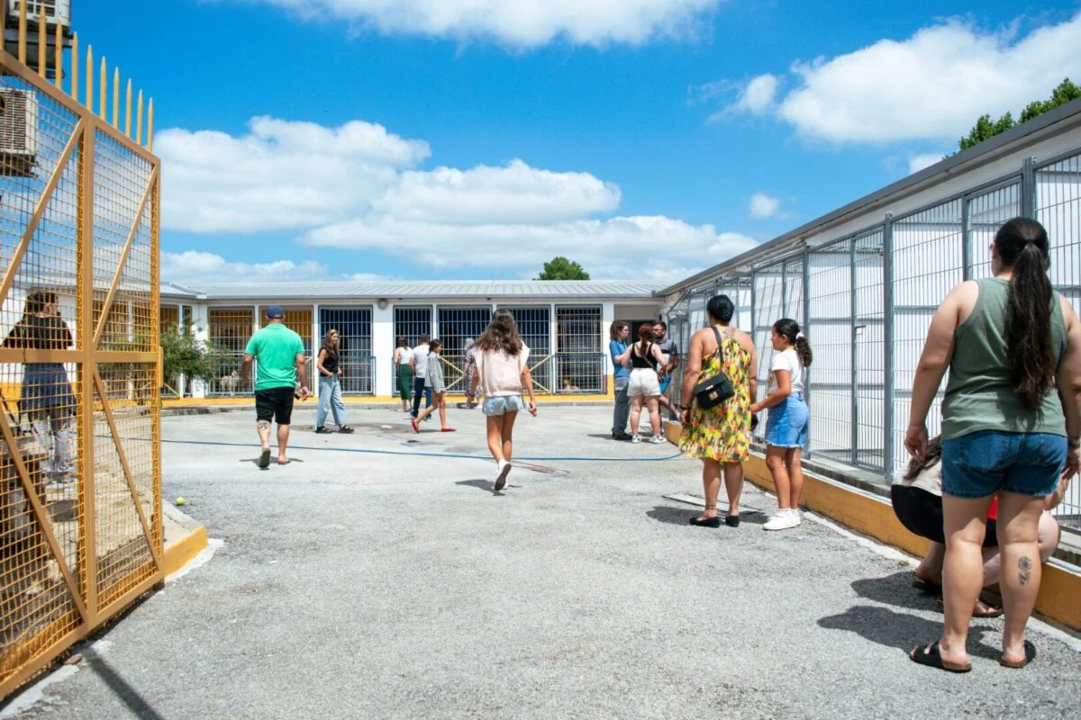 Open Day Canil Coimbra
