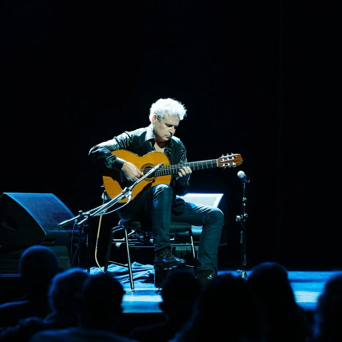 P7 Pedro Joia
