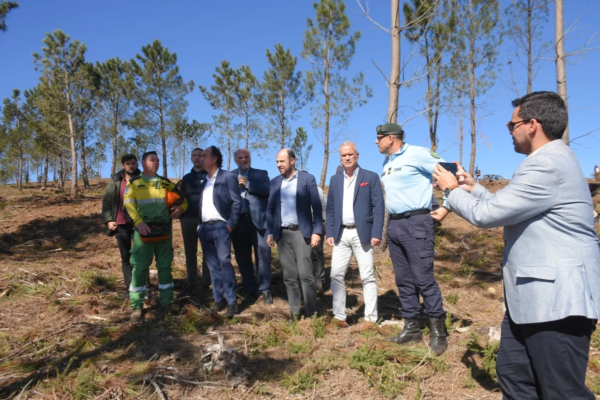 Rede Viária Florestal