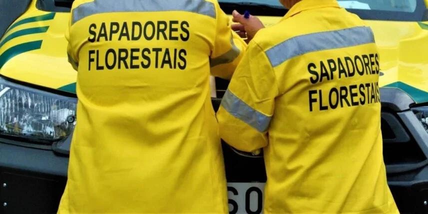 Sapadores Florestais