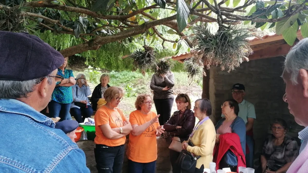 Tardes Comunitárias Cantanhede