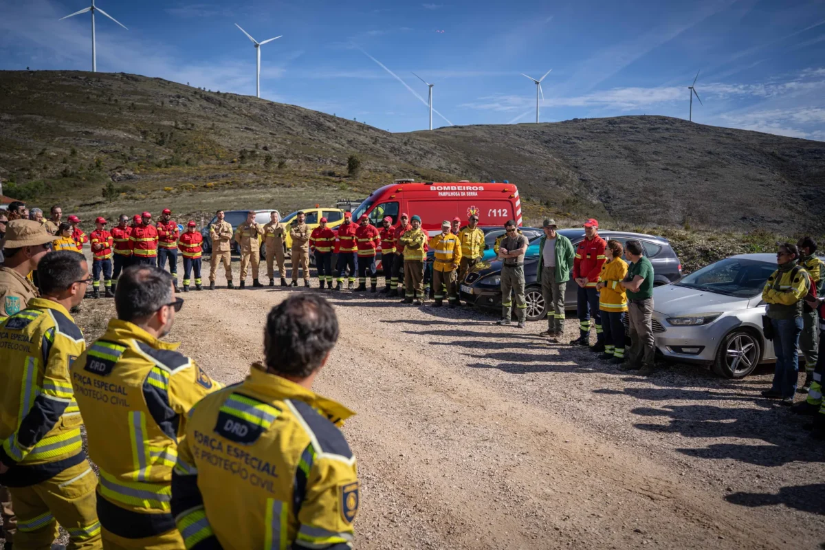 Ações De Fogo Controlado Pampilhosa Da Serra 3