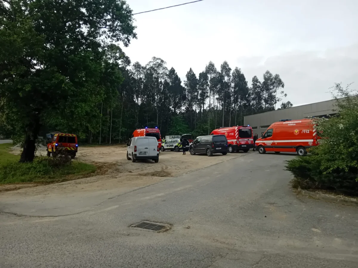 Colisão Tábua