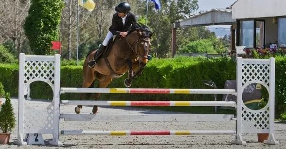 Hipismo Coimbra Concurso Site