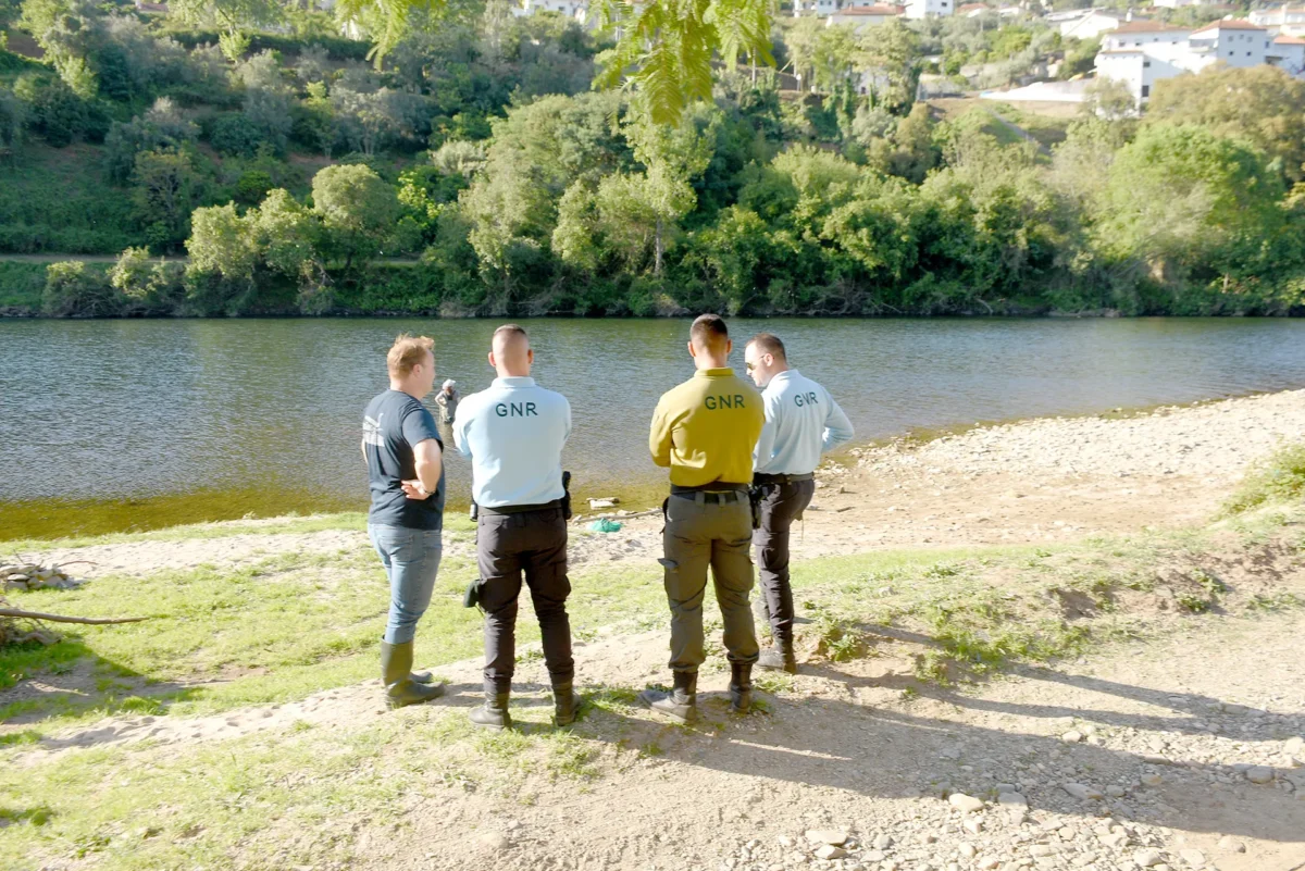 Largada Lampreia Em Coimbra 2