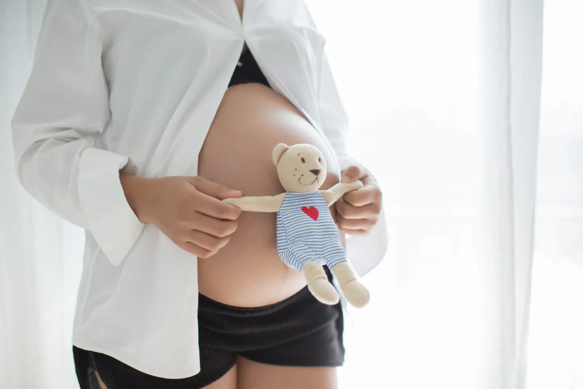 Mulher Grávida Com Peluche