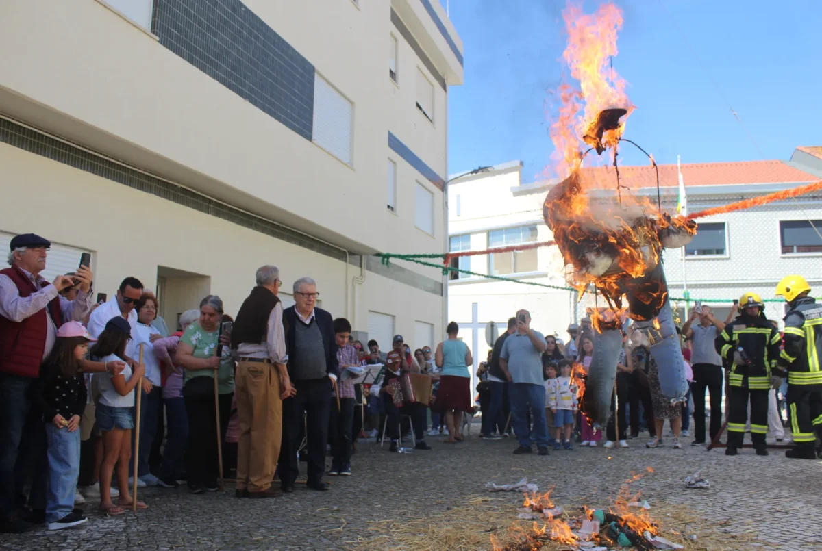 Queima De Judas Figueira 1