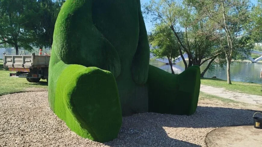 Urso Do Parque Verde