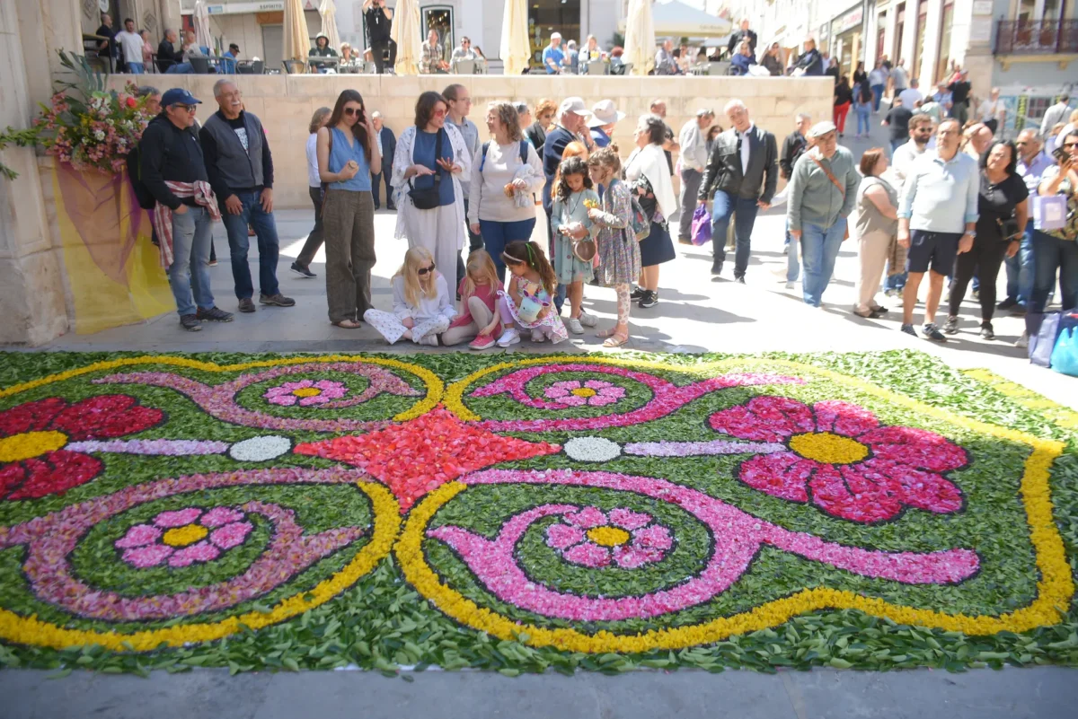 Festa Flor E Plantas 104
