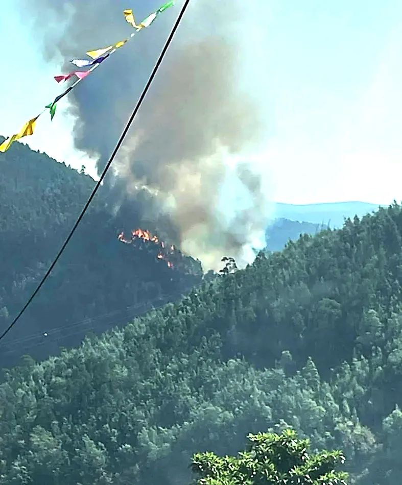 Incêndio Penacova