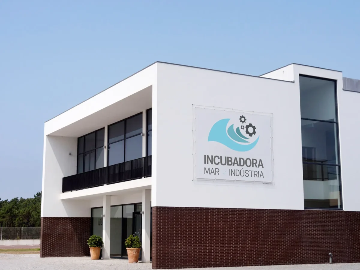 Incubadora Fig Dr Tt