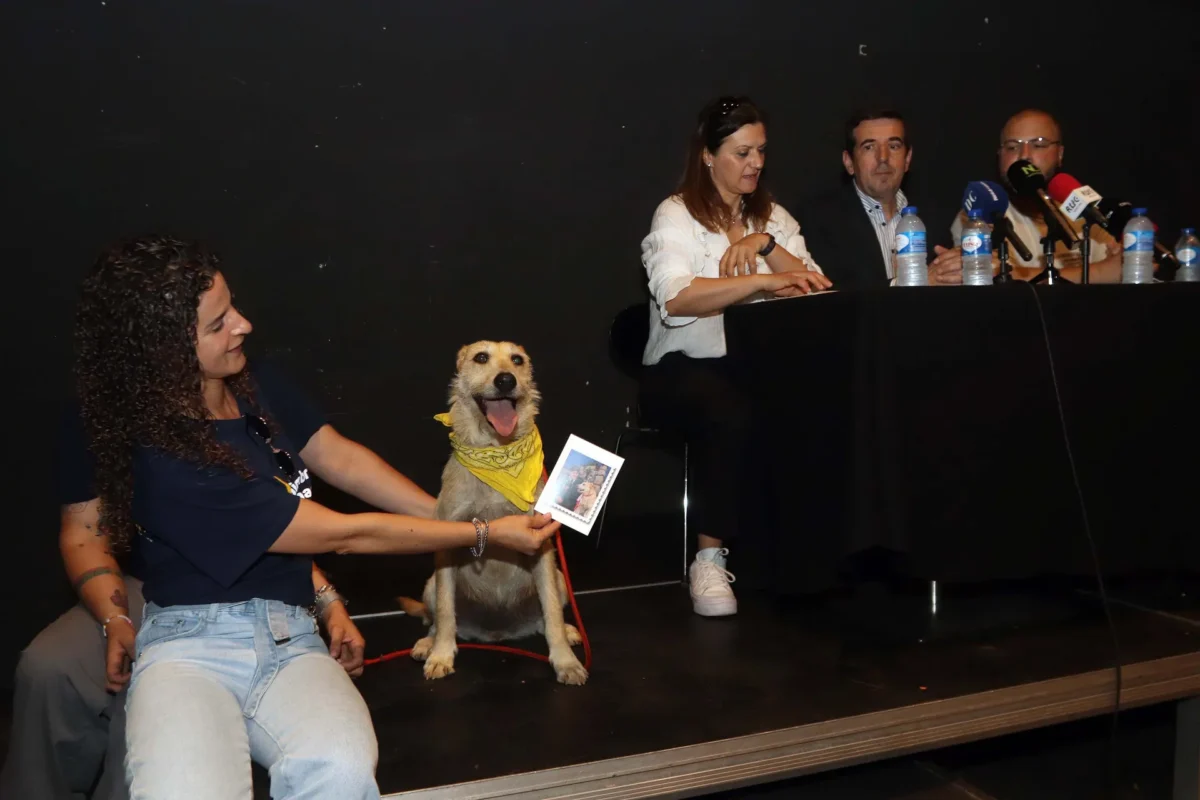 Iniciativa Queima Das Fitas E Canil