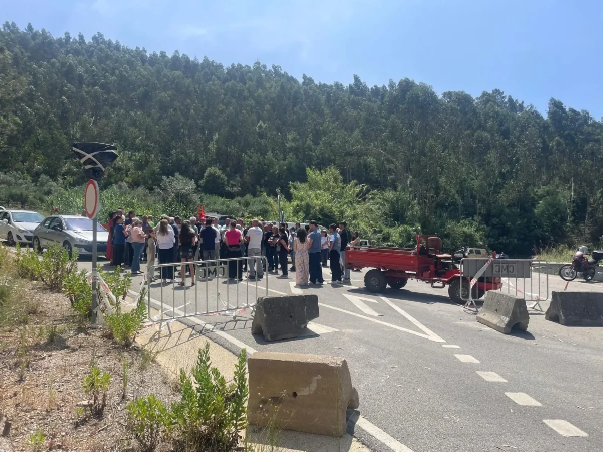 Manifestação Concelho De Miranda Do Corvo 1