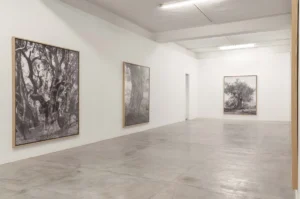 Adam Broomberg And Rafael Gonzalez Anchor In The Landscape 2024 C Jorge Das Neves 4 3