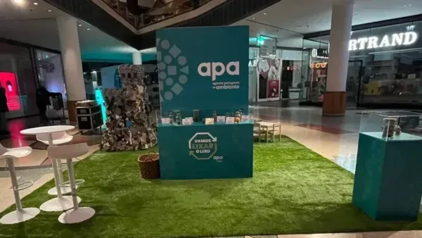 Apa