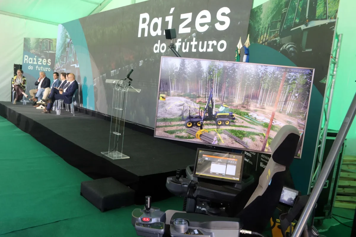 Apresentação Da Escola Da Floresta Em Quiaios Fig 12