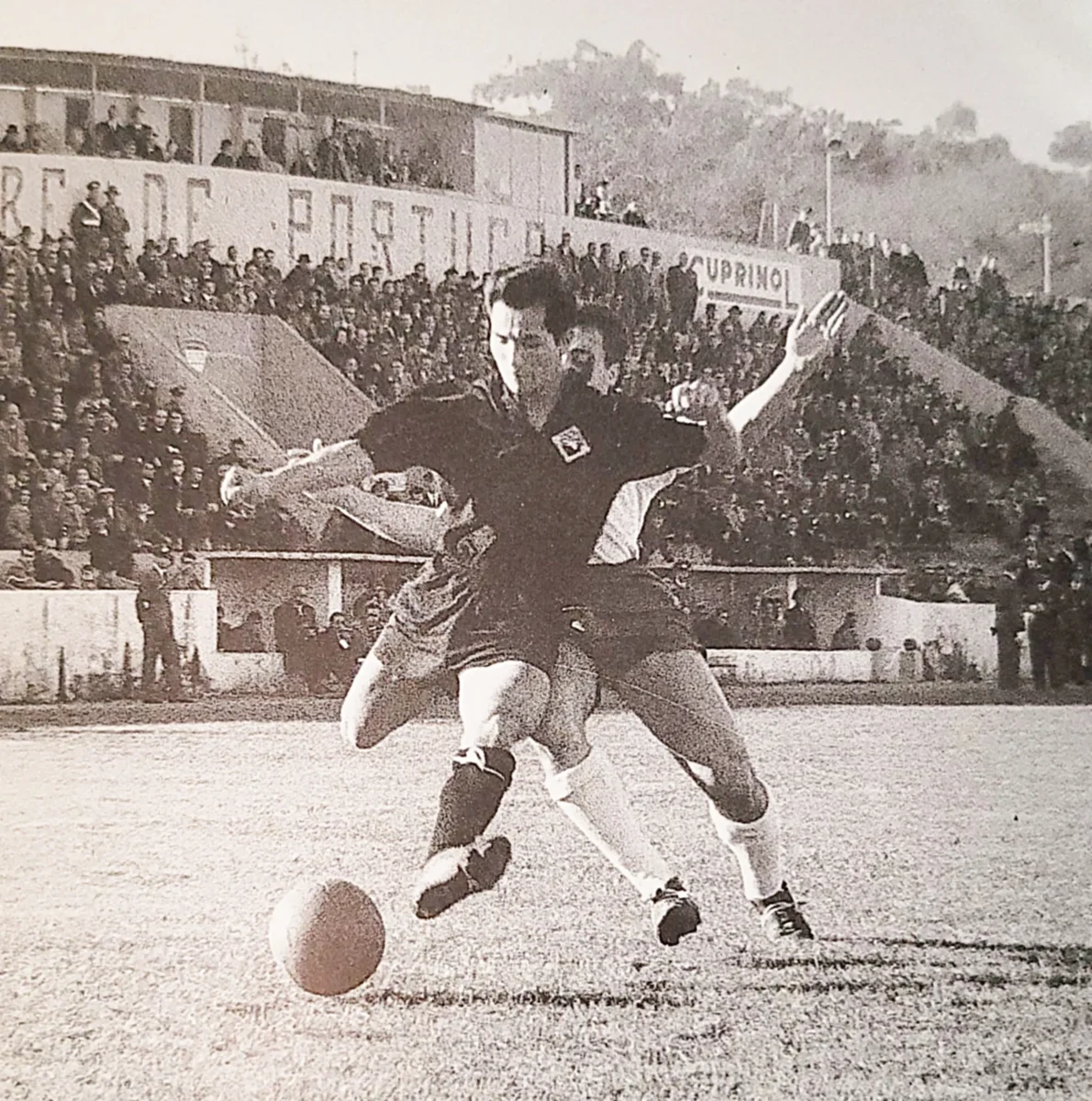 Augusto Rocha T