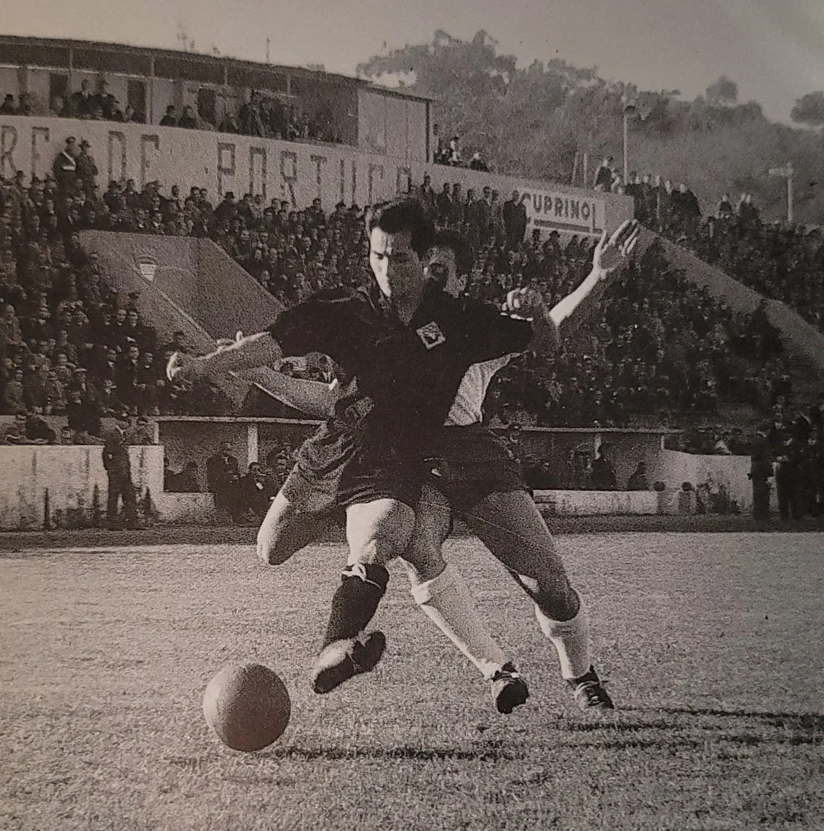 Augusto Rocha