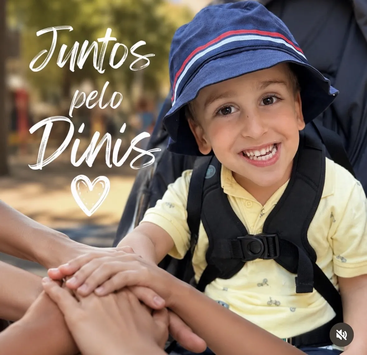 Campanha Dinis
