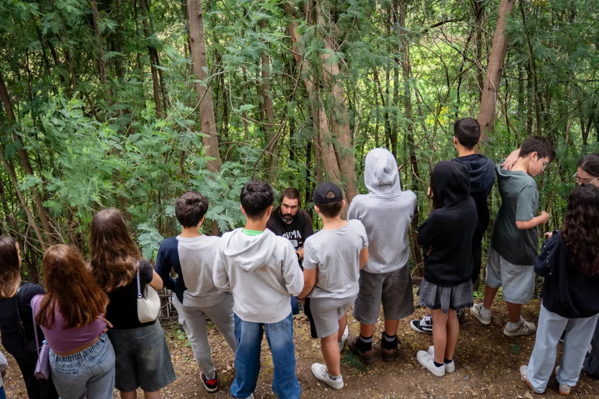 Eco Escolas Pampilhosa Da Serra