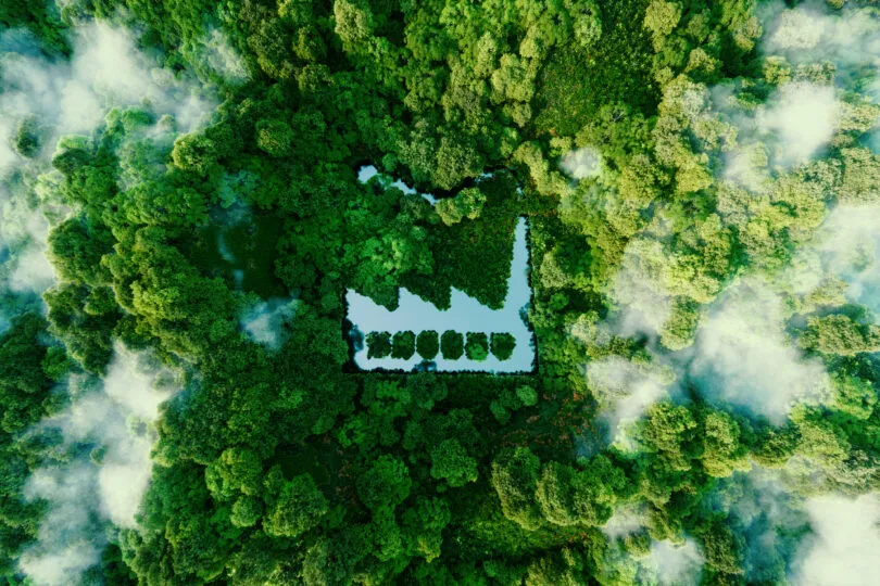 Estratégia Verde