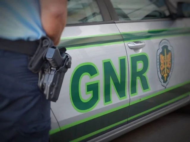 Gnr5