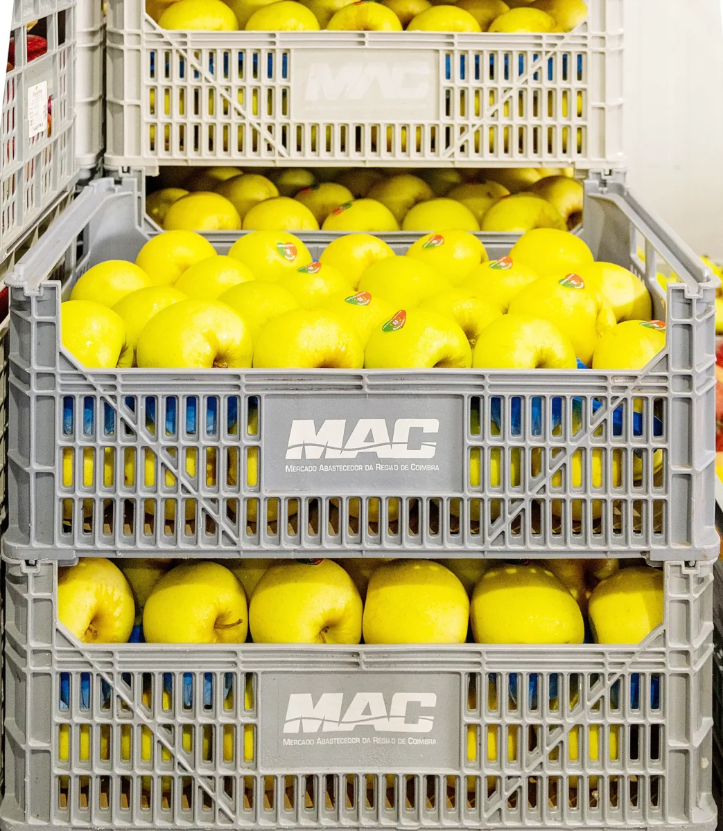 Mac T