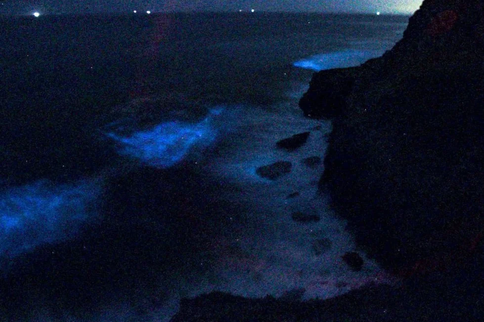MarÉs Bioluminescentes 1