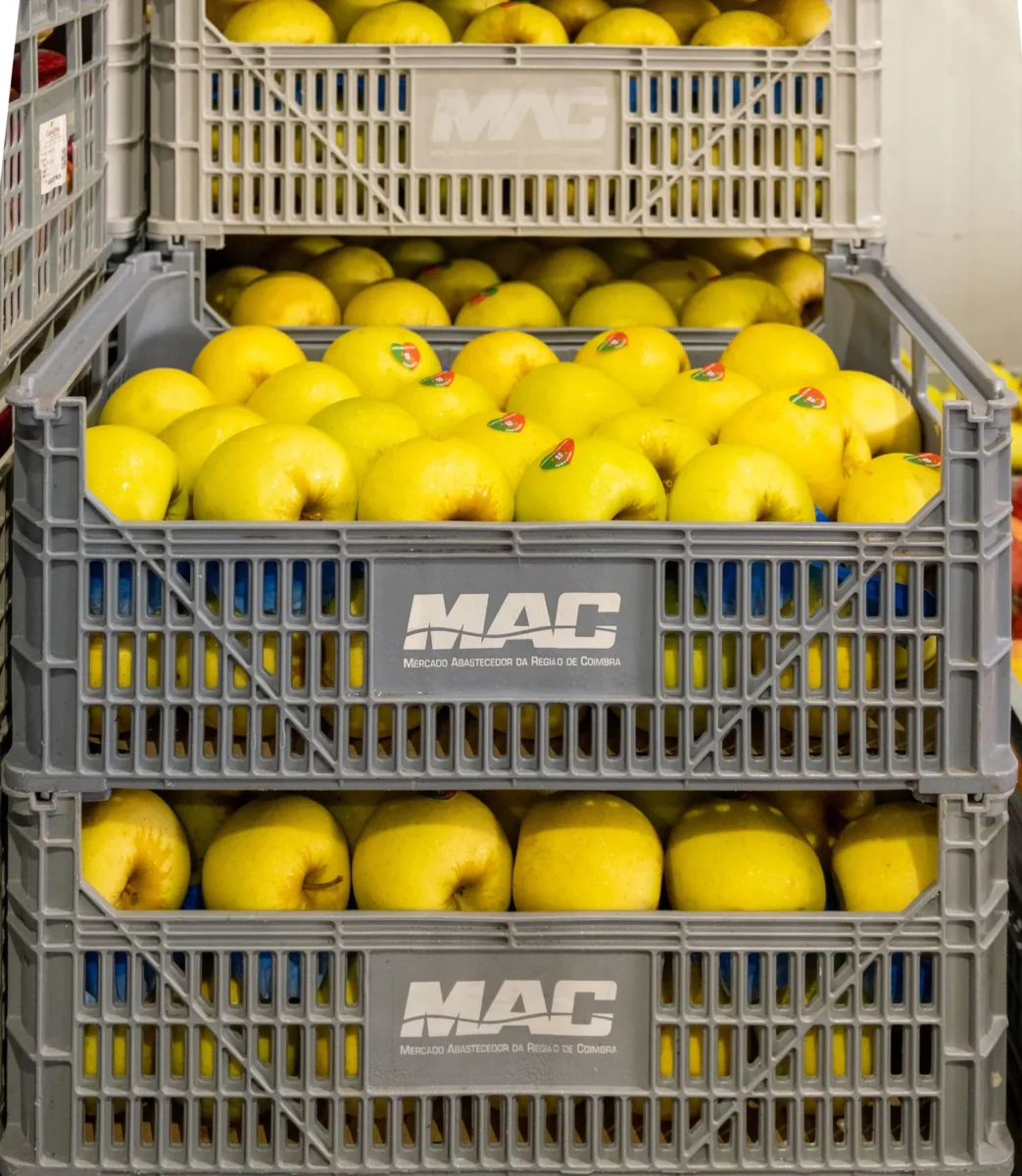 Mercado Abastecedor De Coimbra