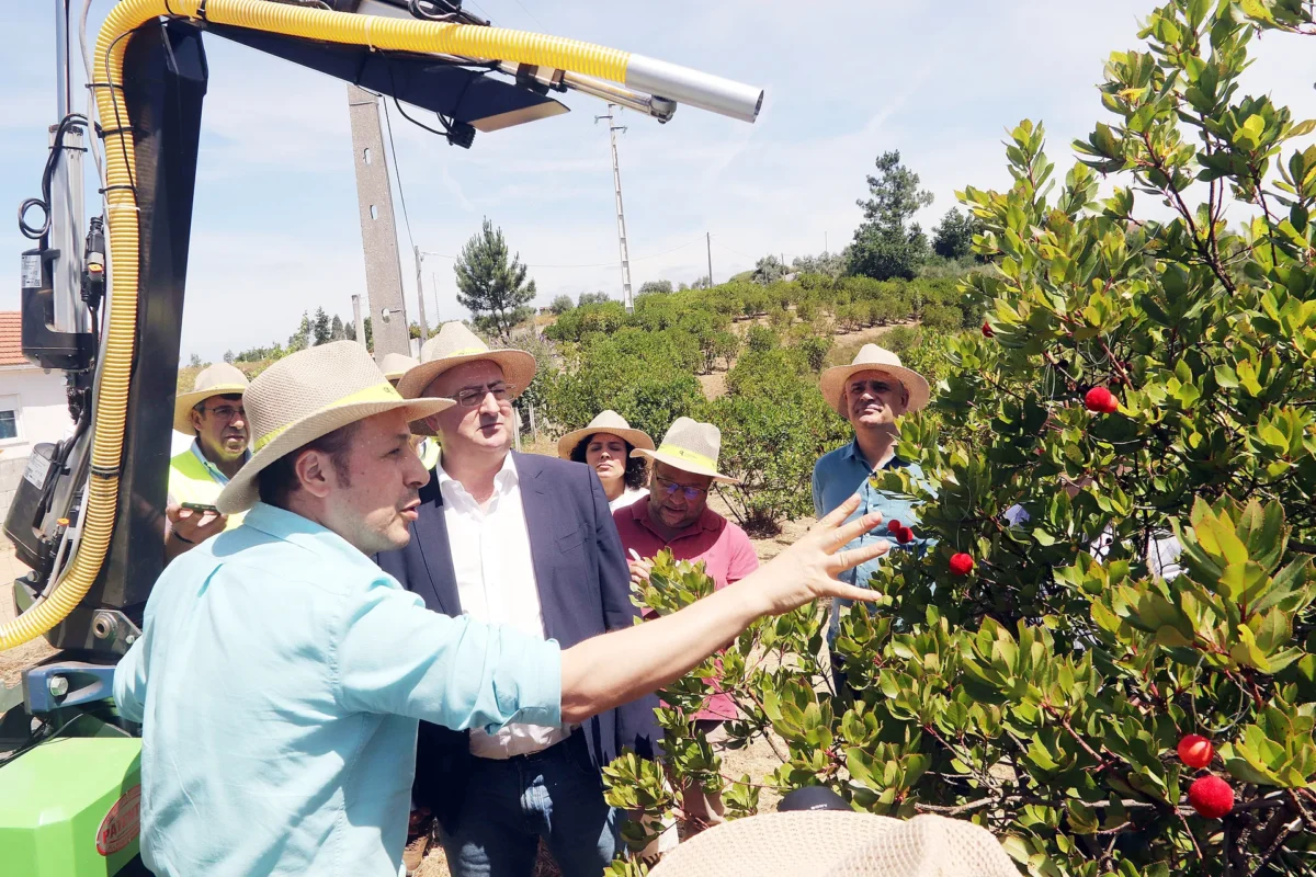 Ministro Da Agricultura Visita Medronhalva