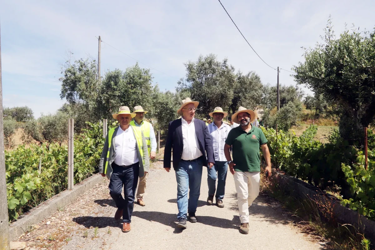 Ministro Da Agricultura Visita Medronhalva1