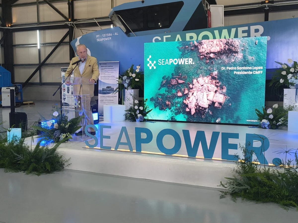 P12 Seapower