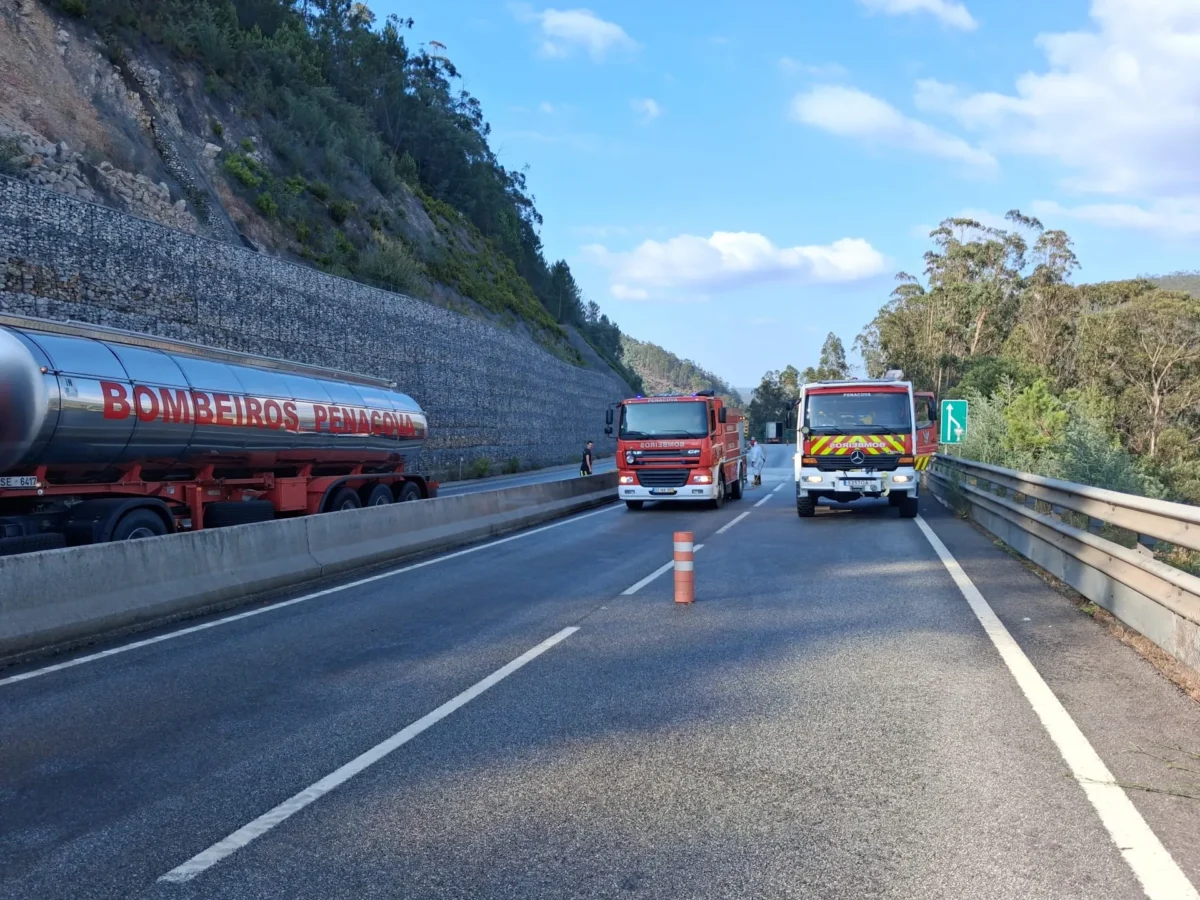 Bombeiros Penacova Limpeza Ip3