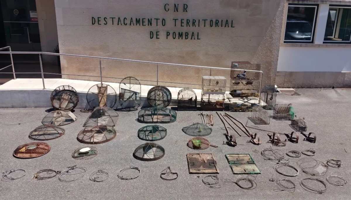 Gnr Leiria Apreensao Ansiao