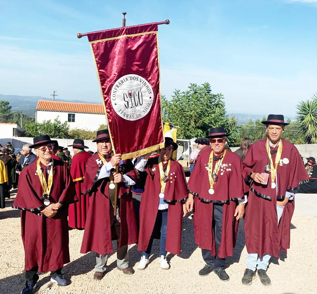 Grupo Confrades Terras De Sico Vinhos