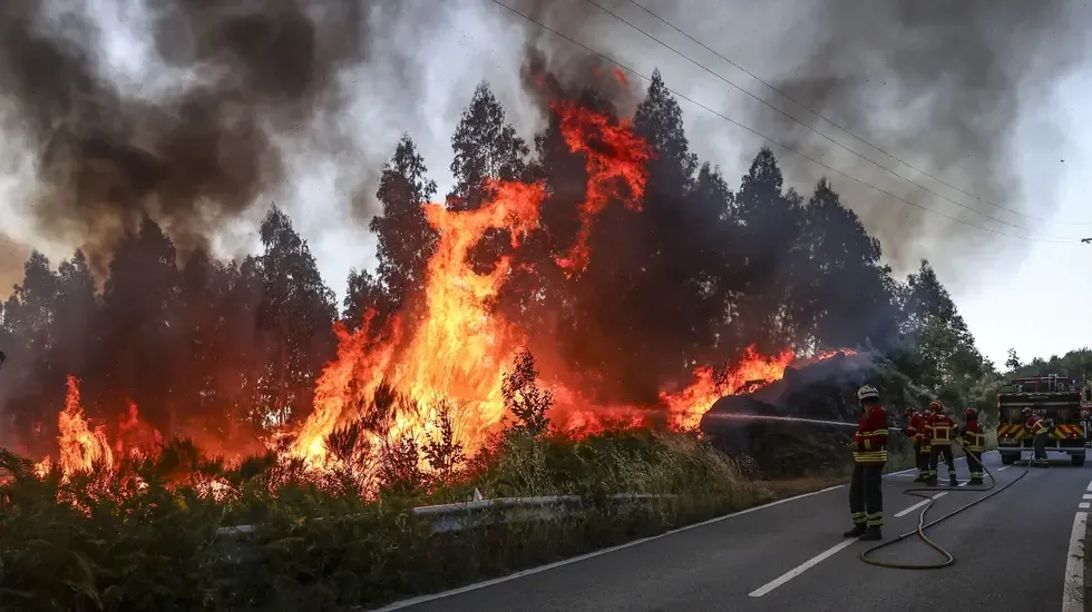 Incendio Vouzela