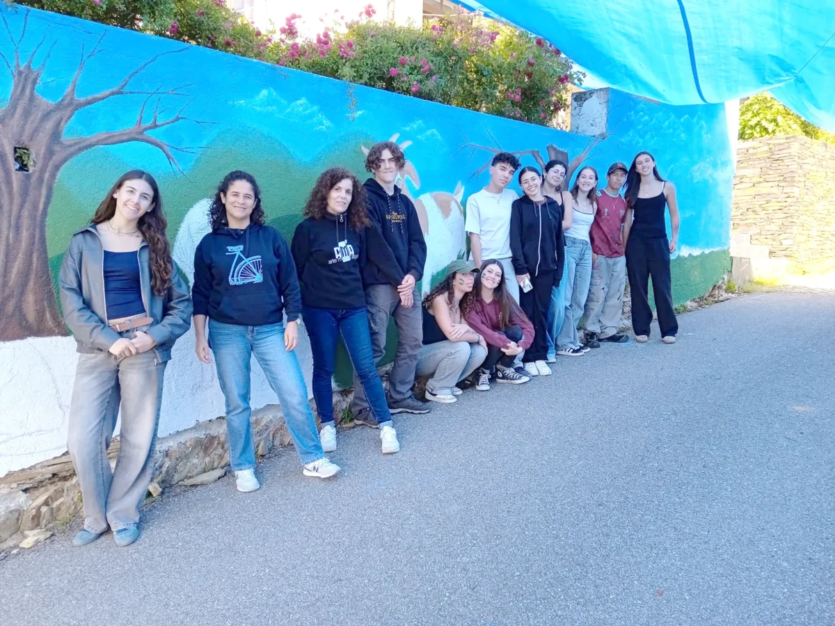 Muro Da Escola T