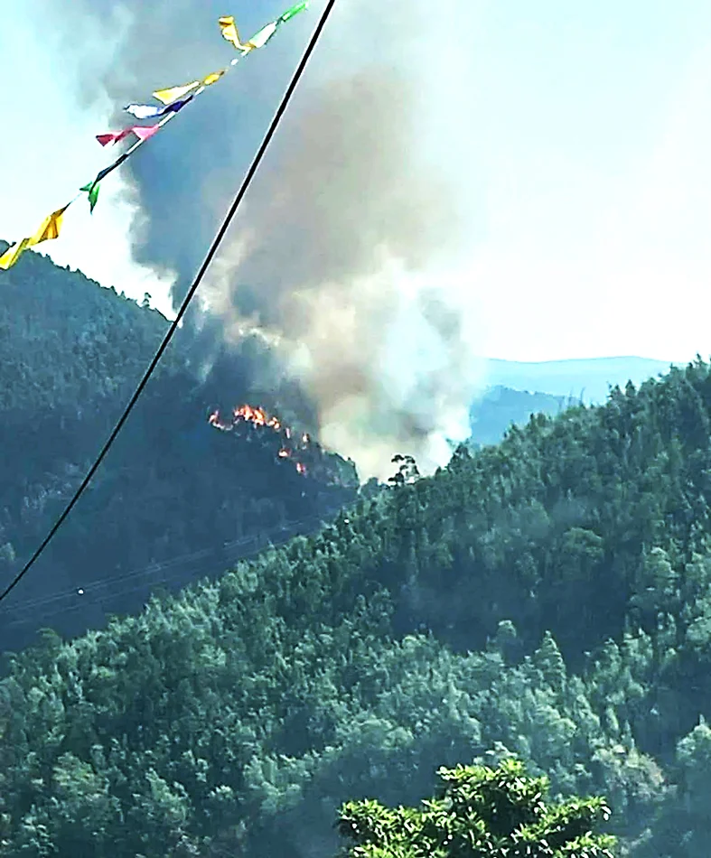 P14 Incêndio Penacova T