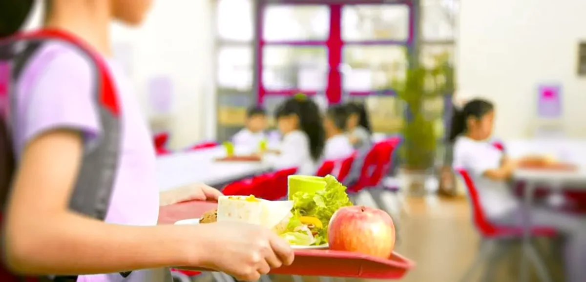 P5 Refeições Escolares T